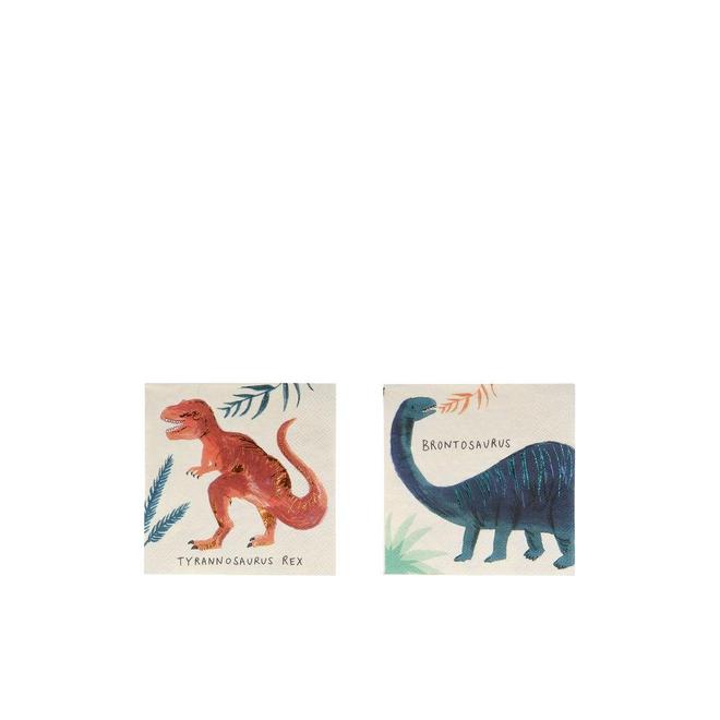 Dinosaur Kingdom Small Napkins