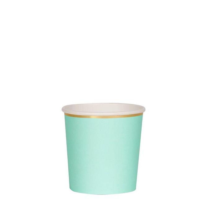 Mint Tumbler Cups