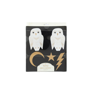 Spellbound Owl and Lightning Banner Set