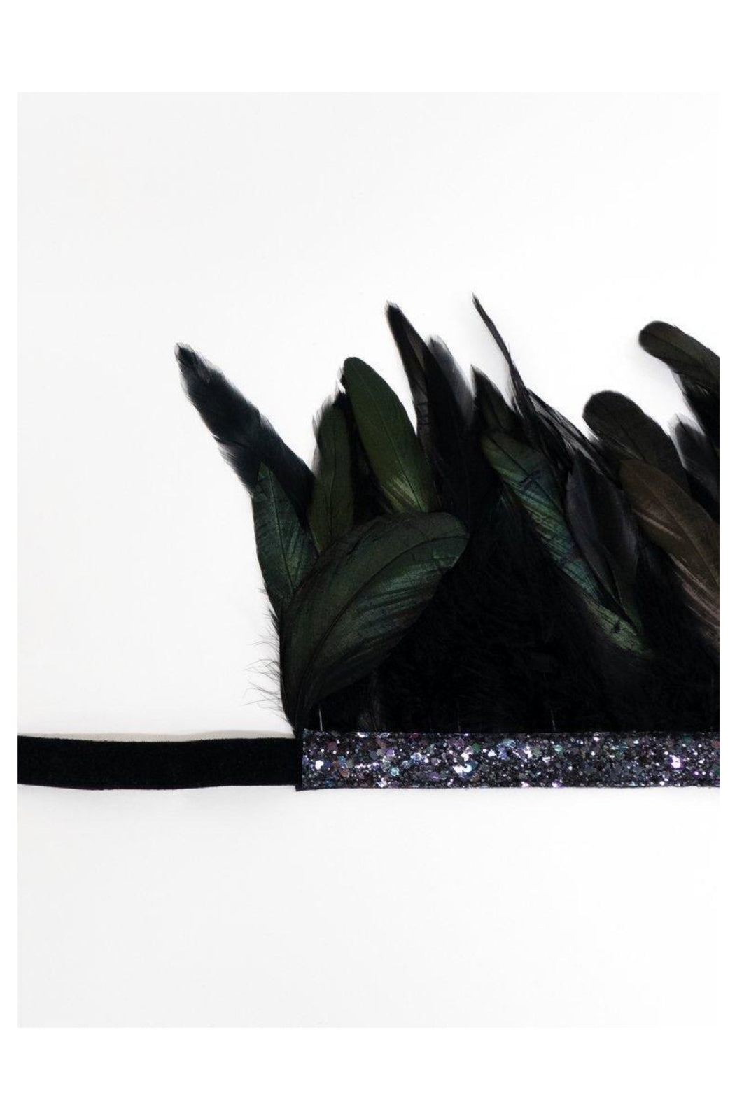 Black Feather Crown