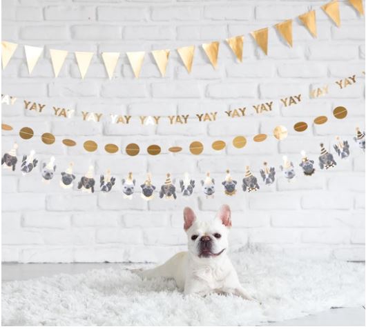 Party Animals Dog Banner