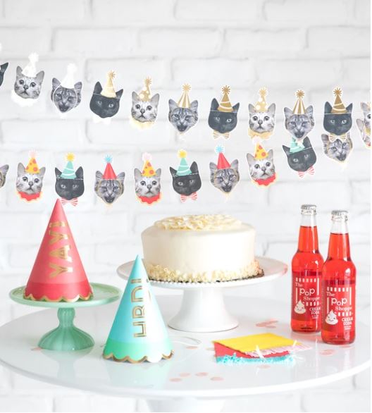 Party Animals Cat Banner