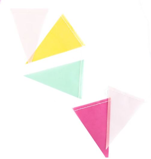 Hooray Vellum Solid Pennant Banner