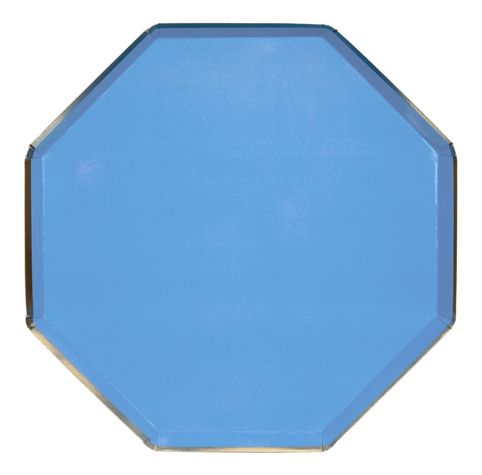 Blue Dinner Plates